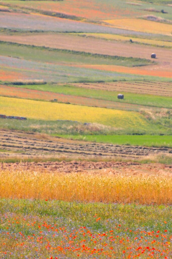 Hochebene von Castelluccio